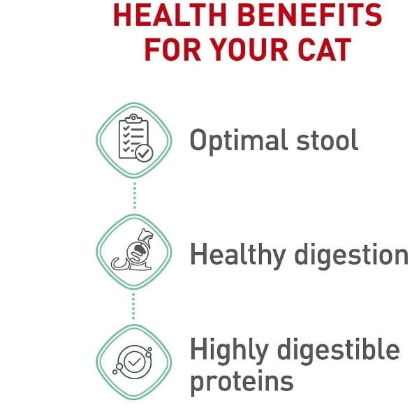 Royal Canin Digestive Care Dry Cat Food for Adult Felines