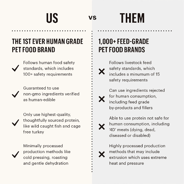 The Honest Kitchen Cage - Free Turkey & Autumn Veggies Butcher Block Smooth Pate Wet Dog Food