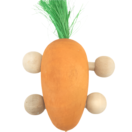 Fun and Dental - Friendly Moss Hollow Rolling Carrot Wooden Pet Toy
