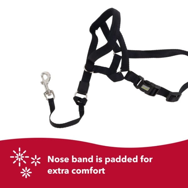 Walk 'n Train Dog Head Halter - A Fun and Effective No - Pull Solution for Dogs