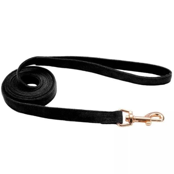 Fashionable Coastal Microfiber Dog Leash with Rose Gold Hardware
