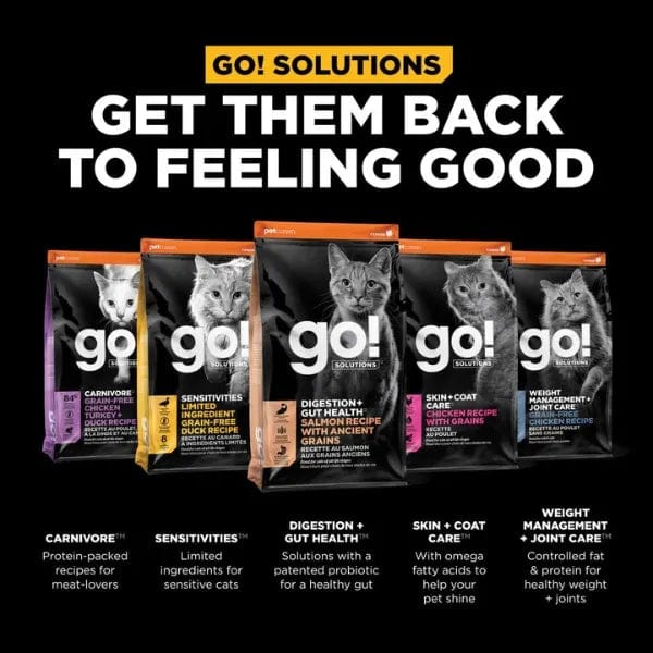 Go! Solutions Digestive and Gut Health Support, Premium Salmon Recipe with Ancient Grains Dry Cat Food, 8lb Bag