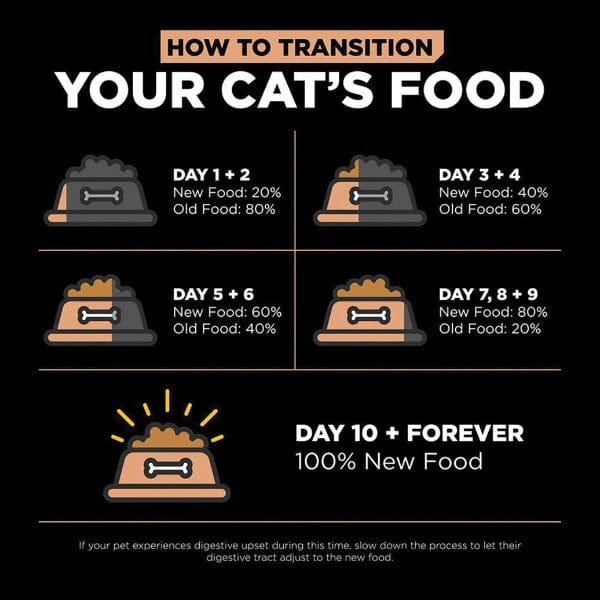 Go! Solutions Digestive and Gut Health Support, Premium Salmon Recipe with Ancient Grains Dry Cat Food, 8lb Bag
