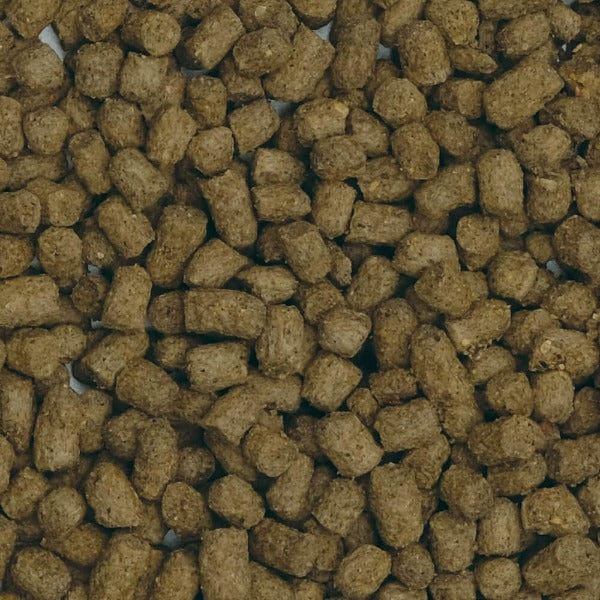 Fluval Bug Bites Goldfish Formula Slow-Sinking Pellets, 100g
