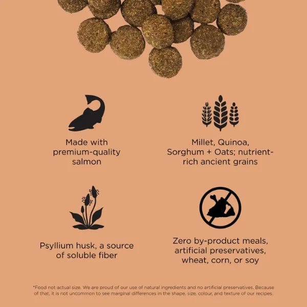Go! Solutions Premium Dry Dog Food - Salmon Recipe with Ancient Grains for Digestion and Gut Health