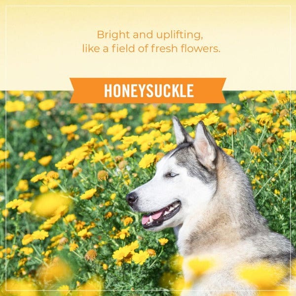 Skout's Honor Premium Probiotic Deodorizer Spray for Cats and Dogs
