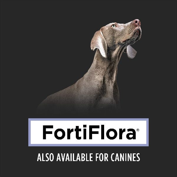 Purina Pro Plan FortiFlora: Premium Powdered Probiotic Supplement for All Cats