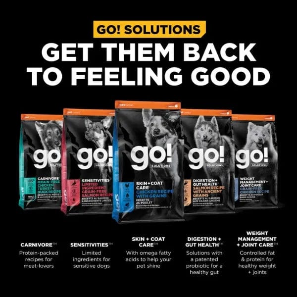 Go! Solutions Grain-Included Dry Dog Food with Chicken Recipe for Skin and Coat Care