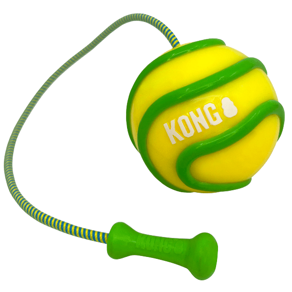 KONG Bunji High-Visibility Glow-in-the-Dark Ball Dog Toy for All-Day Play