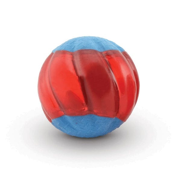Zeus Duo Interactive Squeaking Ball Dog Toy Set