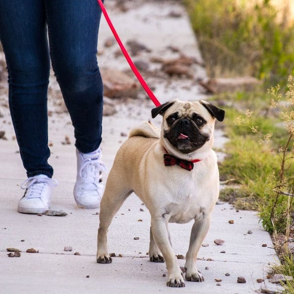Fashionable Coastal Microfiber Dog Leash with Rose Gold Hardware