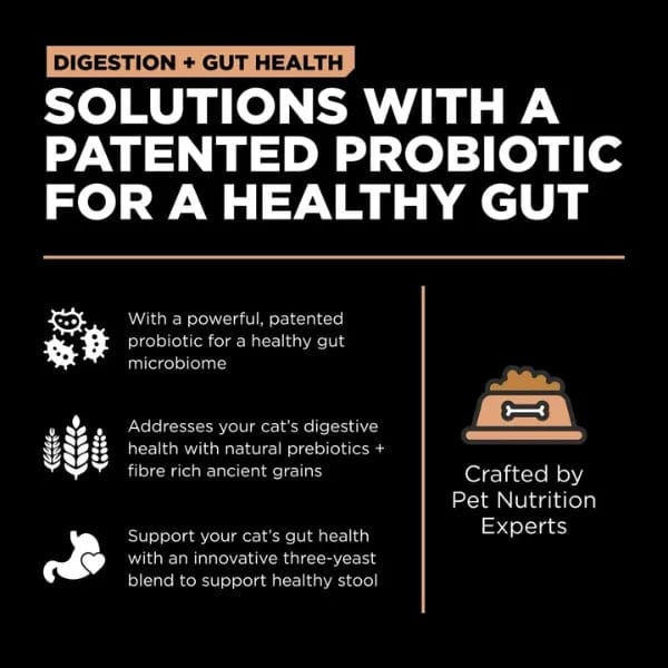Go! Solutions Digestive and Gut Health Support, Premium Salmon Recipe with Ancient Grains Dry Cat Food, 8lb Bag