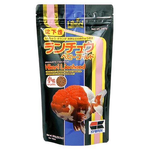 Hikari Mini Pellet Fish Food for Lionhead Goldfish