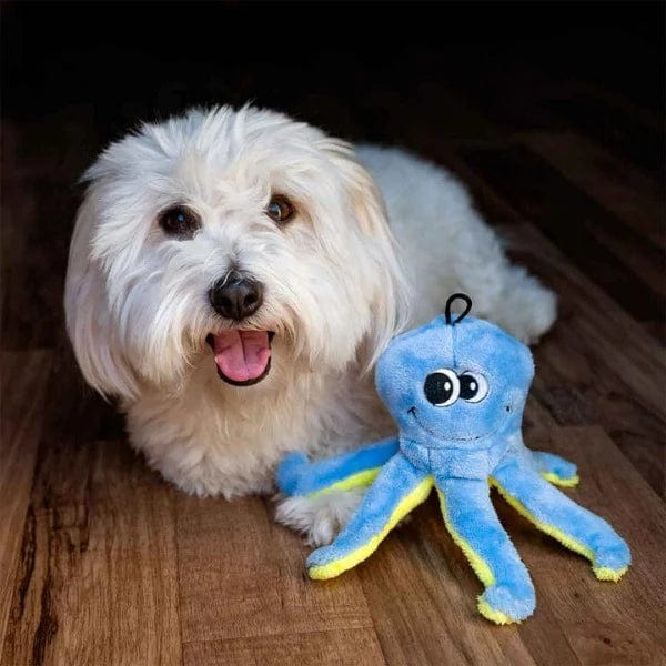 Tender-tuffs Interactive Easy-to-Grab Curly Octopus Plush Toy for Dogs