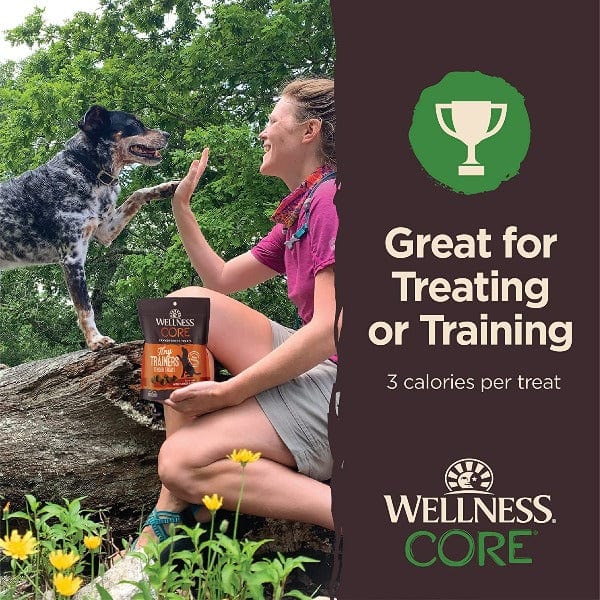 Wellness CORE Premium Tiny Trainers Tender and Delicious Lamb & Apple Dog Treats for Training