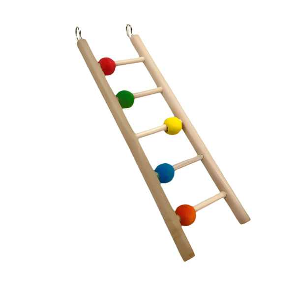 Colorful Beaded Wooden Ladder for Small to Medium Birds by Tweeters