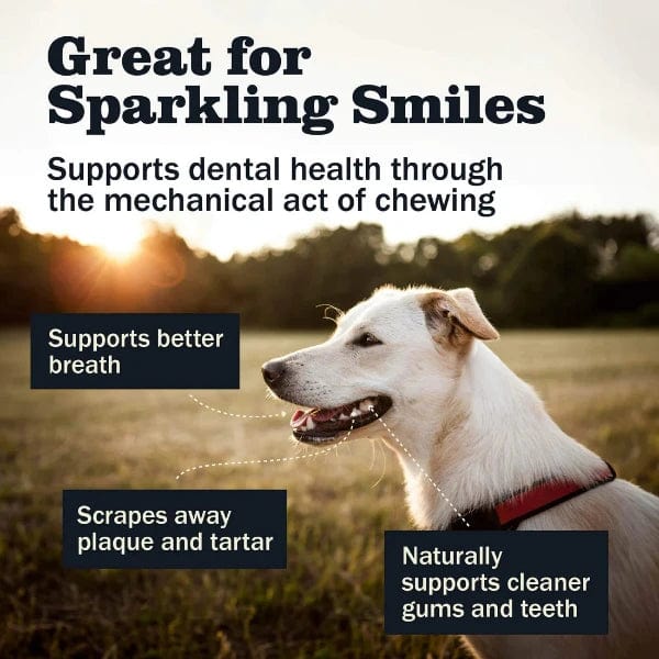 RedBarn All - Natural Slow - Roasted Beef Bully Sticks for Dogs