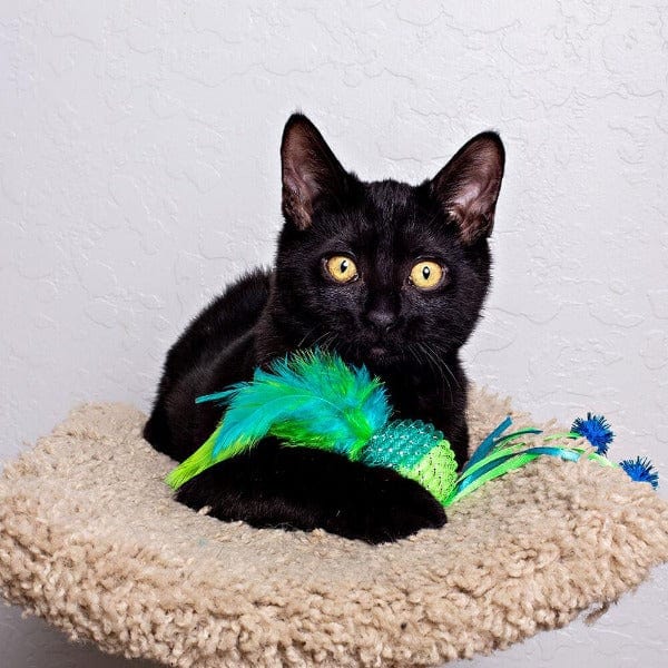 Multipet Glittery Mesh Ball Cat Toy with Attractive Feathers