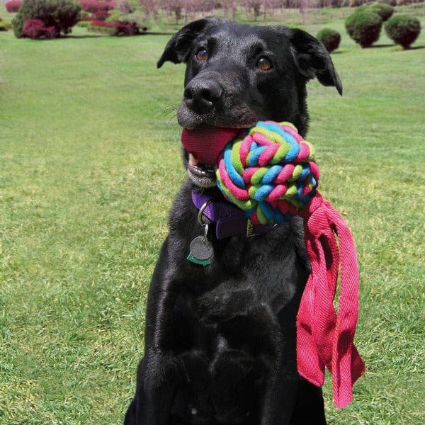 KONG Wubba Weaves Durable Dog Toy with Squeaker for Fetch Games