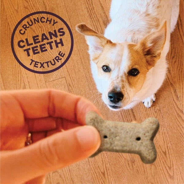 Wellness Old Mother Hubbard Premium Oven-Baked P-Nuttier Dog Biscuits for Small Dogs
