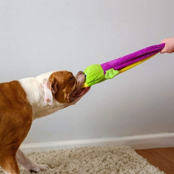 Soft and Durable Tender-tuffs Platypus Plush Interactive Tug Dog Toy for Fetch and Tug-of-War