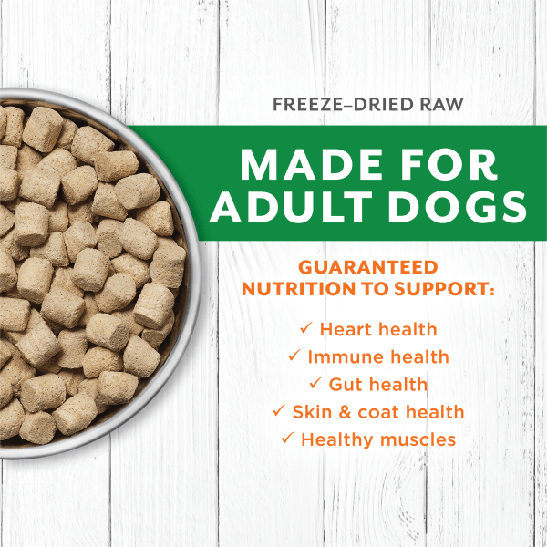 100% Freeze - Dried Instinct Raw Longevity Lamb Recipe Dog Food, 9.5 oz