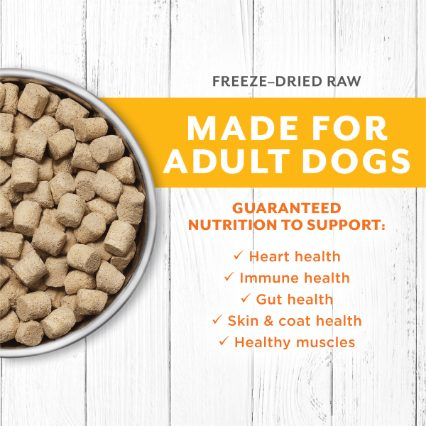 Instinct Raw Longevity 100% Freeze - Dried Chicken Recipe Dog Food for Optimal Pet Health