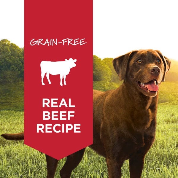 Instinct Original Grain - Free Canned Dog Food with Real USA - Raised Beef