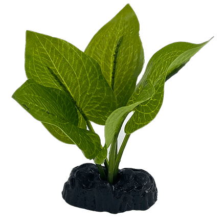 Decorative Fish Tank Silk Anubias Nana Betta Plants Set of Four