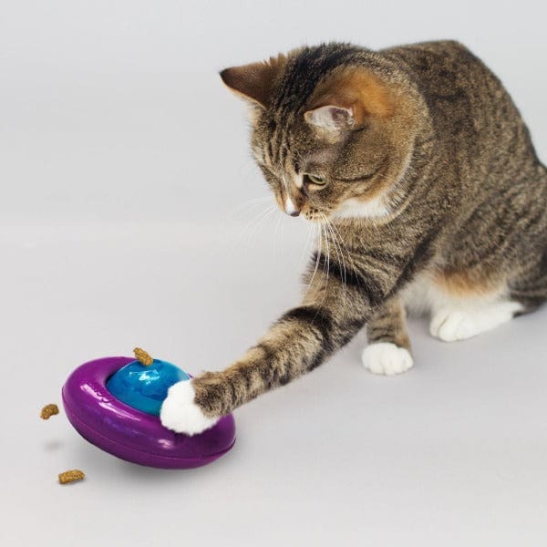 KONG Premium Infused Catnip Gyro Treat-Dispensing Cat Toy
