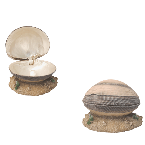 Realistic Pearl Airstone Clam Ornament for Aquarium Fish Tanks