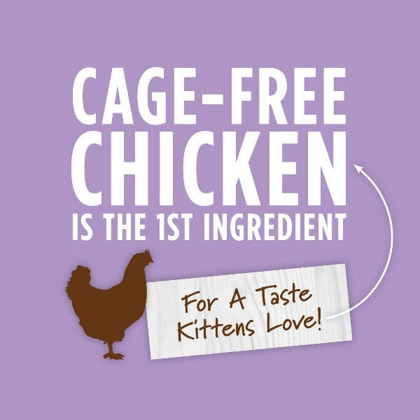 Instinct Original Canned Kitten Food with Real Chicken Recipe