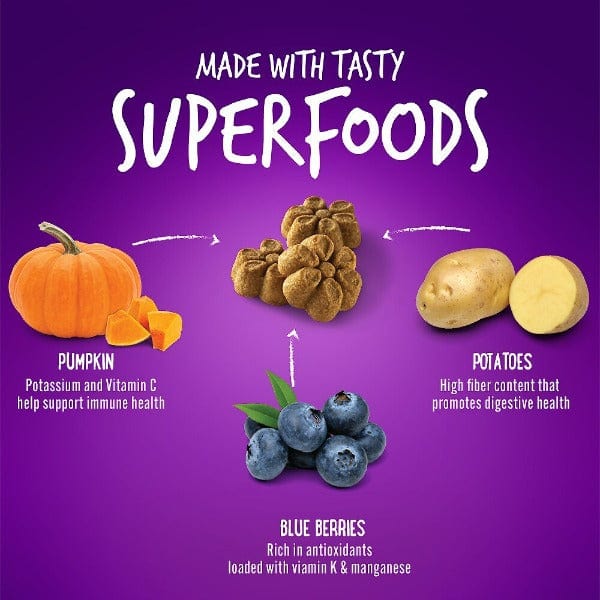 Fruitables Oven - Baked Pumpkin & Blueberry Low - Calorie Dog Treats