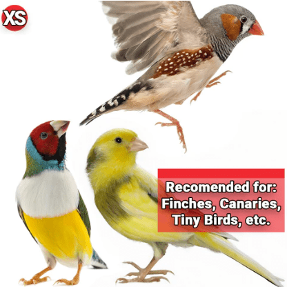 HARI Gourmet High - Quality Seed, Veggie & Nut Mix Ideal for Finches