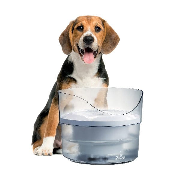 Zeus Fresh & Clear Dog Drinking Fountain with Splash Guard for Small to Medium Dogs