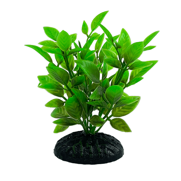 Realistic Plastic Betta Fish Gear - Hygrophila Siamensis (Set of 4)