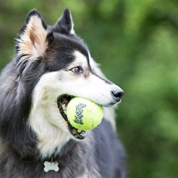 KONG SqueakAir Balls - Premium Dog Fetch Toy Combining Tennis Ball and Squeaker