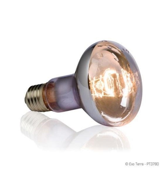Exo Terra Splash-Resistant Swamp Basking Spot Light Bulb for Humid Terrariums