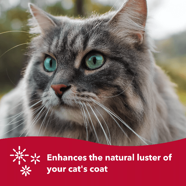 Safari Soft Cat Slicker Brush for All Coat Types, Comfort-Grip