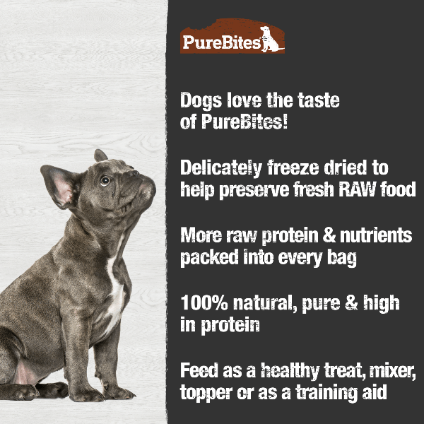 PureBites Freeze - Dried Turkey Dog Treats, Premium High - Protein Snack for Dogs, 70g