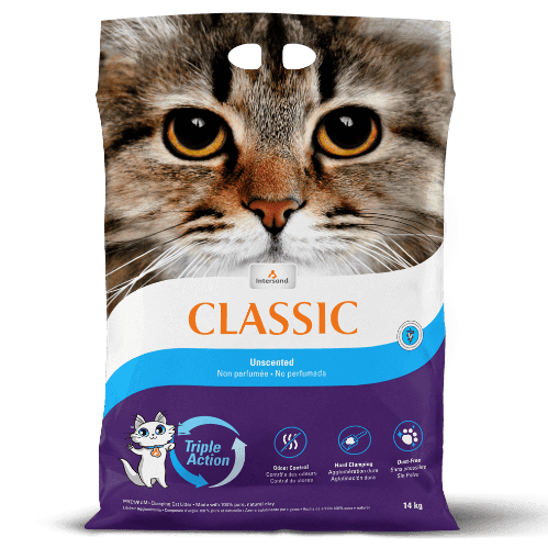 Intersand 20-Year Classic Natural Clay Clumping Cat Litter - 14 kg