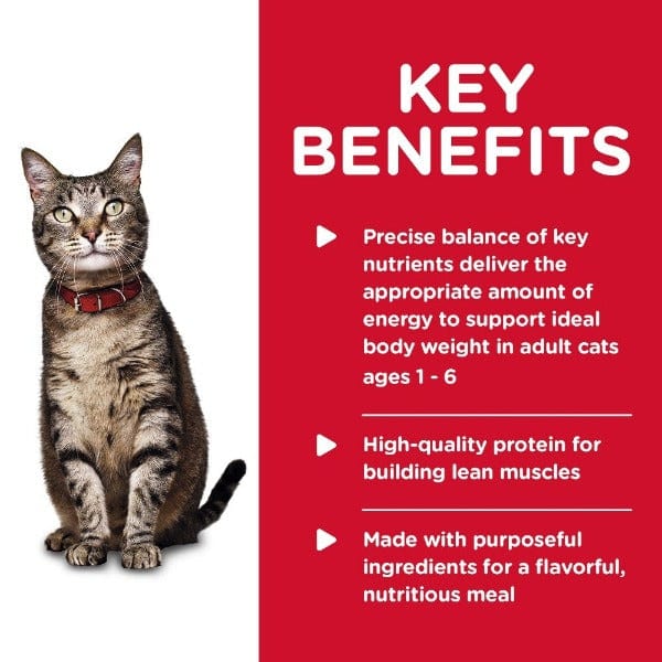 Hill's Science Diet Adult Canned Cat Food - 5.5oz Savory Turkey Entree