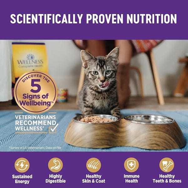 Wellness Complete Health Canned Grain - Free Pate Dinner Cat Food with Real Beef and Chicken, 5.5 Ounce