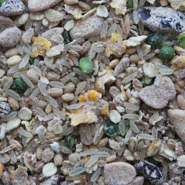 Higgins Worldly Cuisines Creamy Zen Appetizer Bird Food for All Avian Friends