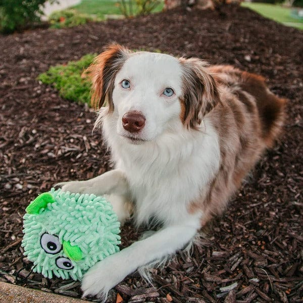 Tender-tuffs Soft and Durable Pufferfish Shaped Plush Dog Toy for Active Canines