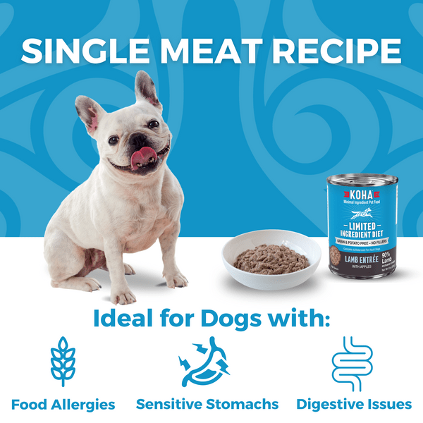 KOHA Limited Ingredient Diet Canned Lamb Entrée Dog Food for Sensitive Stomachs
