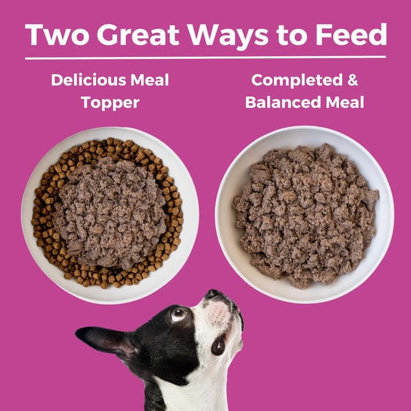 KOHA Limited Ingredient Diet Canned Pork Entrée for Dogs with Joint & Digestive Support