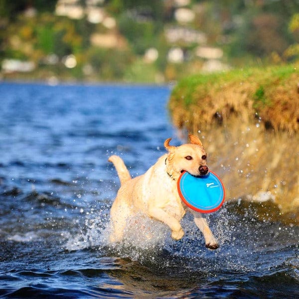 Chuckit! Large-Sized Paraflight Flying Dog Toy for Fetch Games