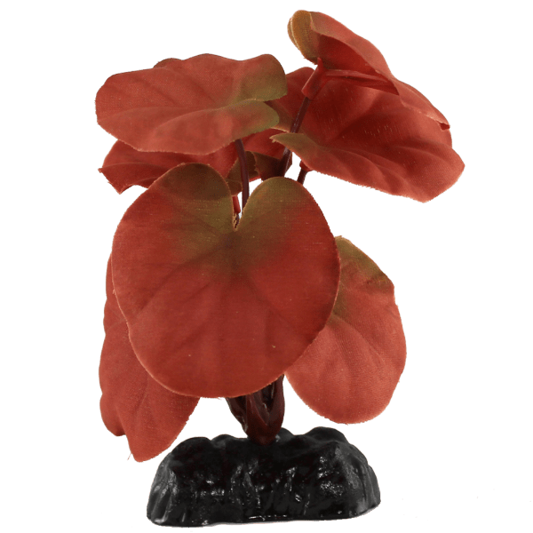 Red Cardamine Silk Betta Fish Gear Plant (Set of 4)