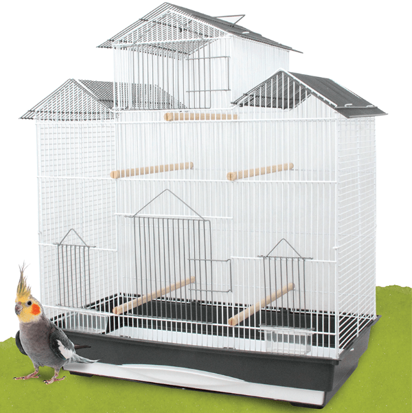 Easy - Setup and Clean Tweeters Cockatiel and Budgie Cage